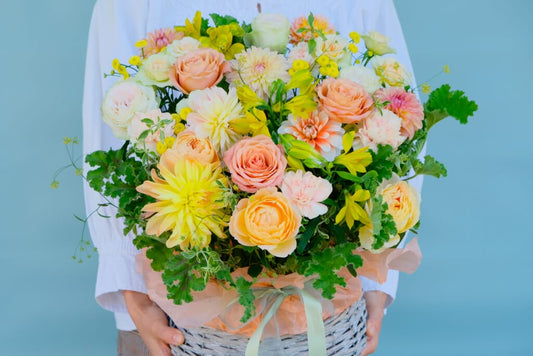 Vitamin Color Arrangement