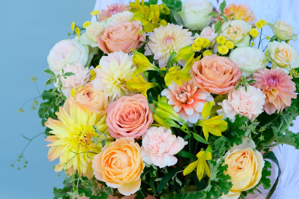 Vitamin Color Arrangement