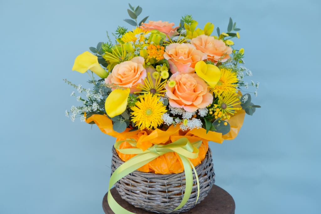 Vitamin Color Arrangement